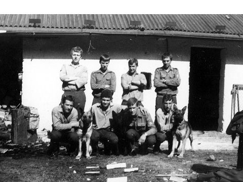 Foto 2